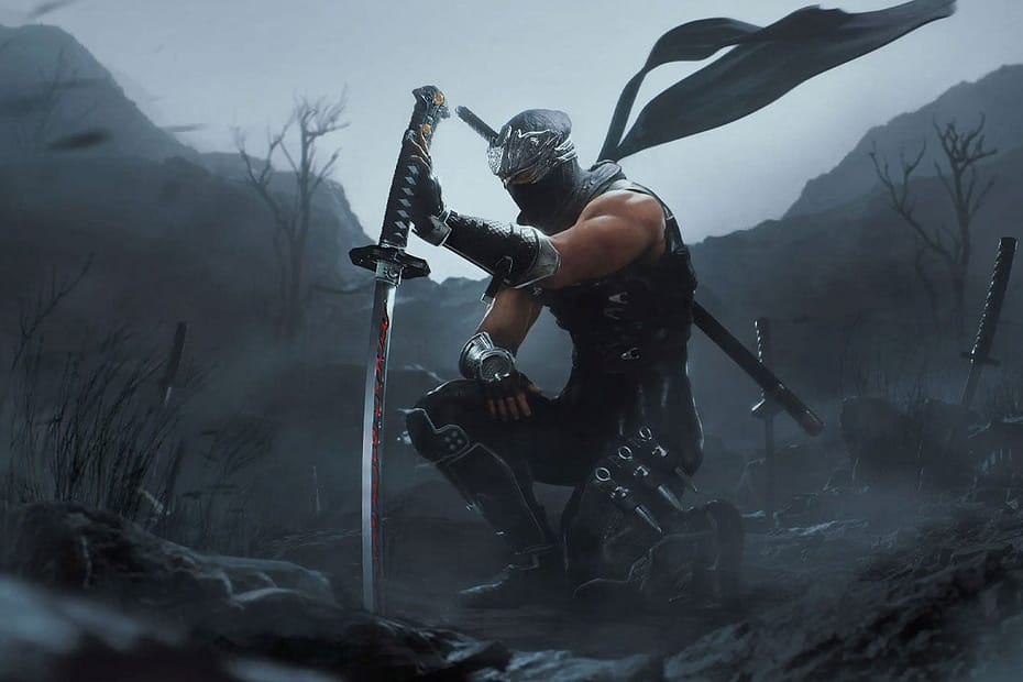 Ninja Gaiden 2